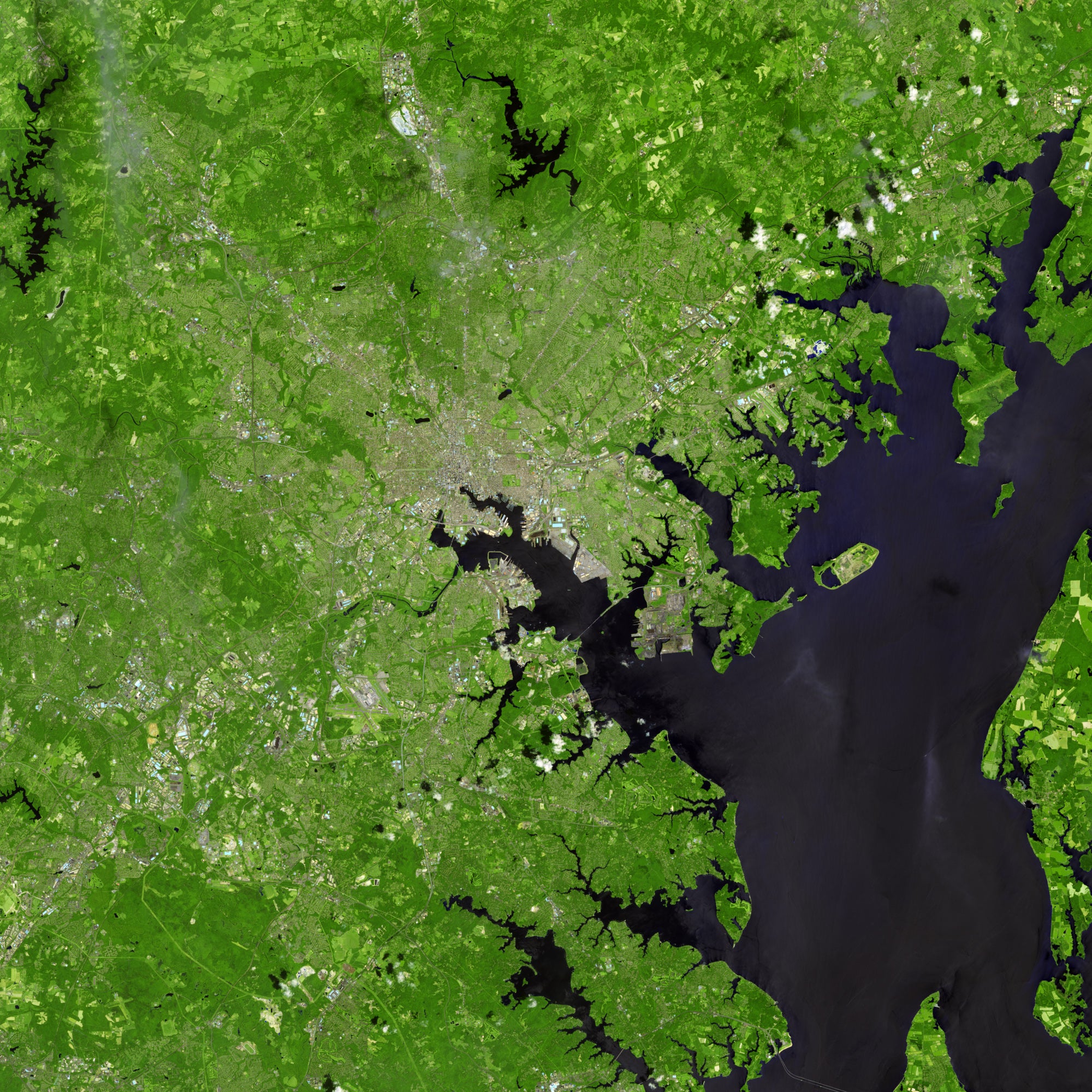 Chesapeake_Bay_USA