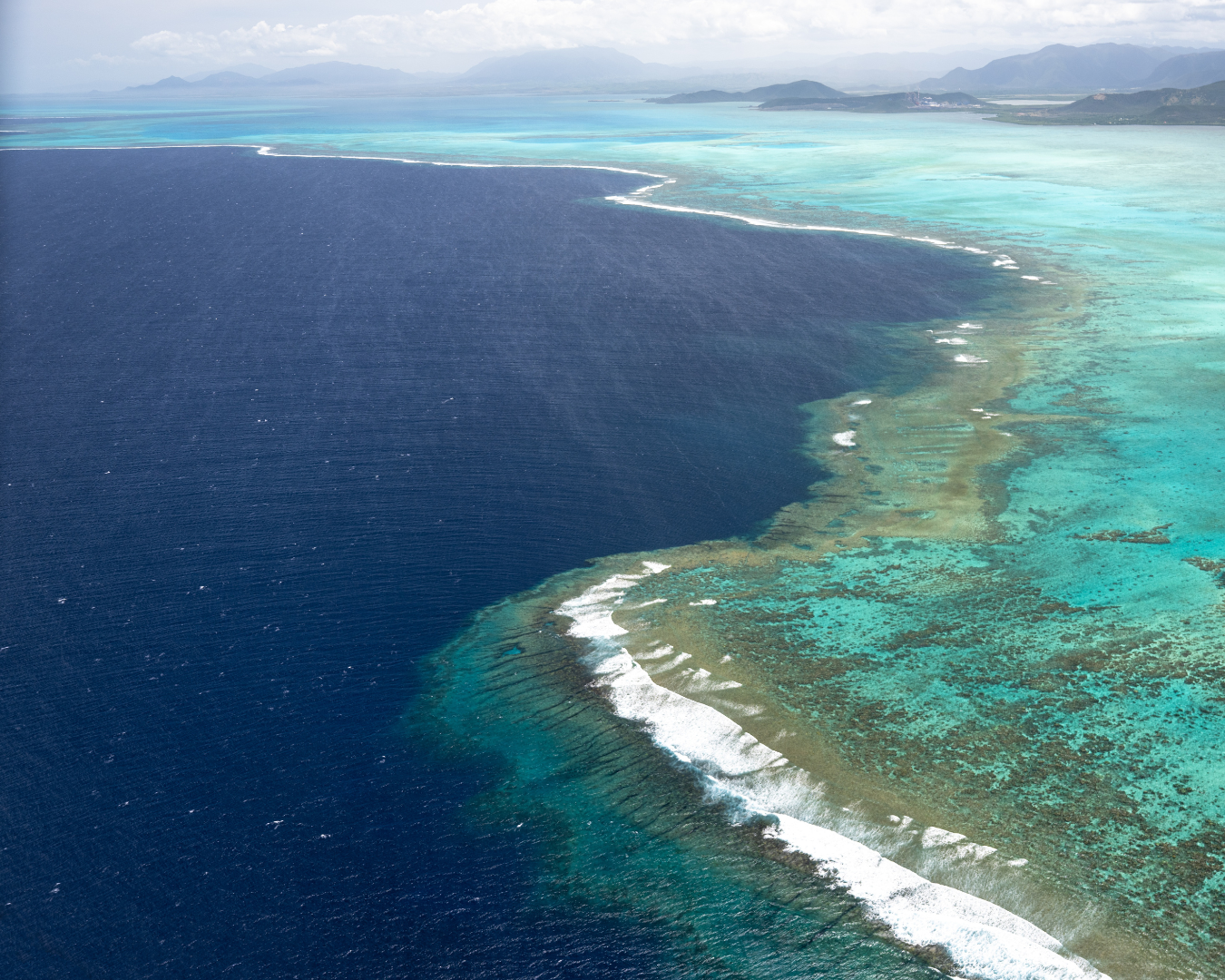 Reef and open ocean.
