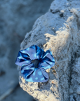 WHALE SHARK Print scrunchie