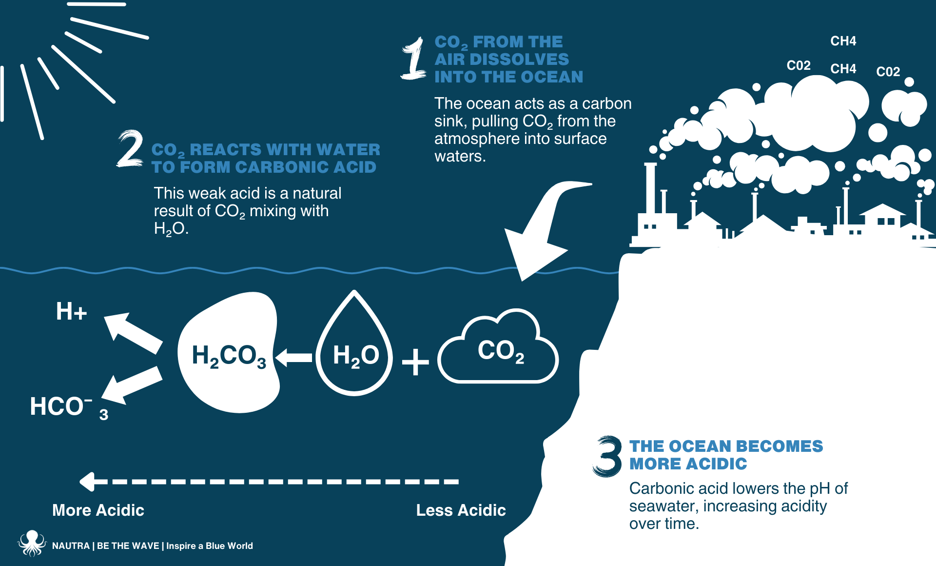 Ocean_Acidification_CO_s_Silent_Impact