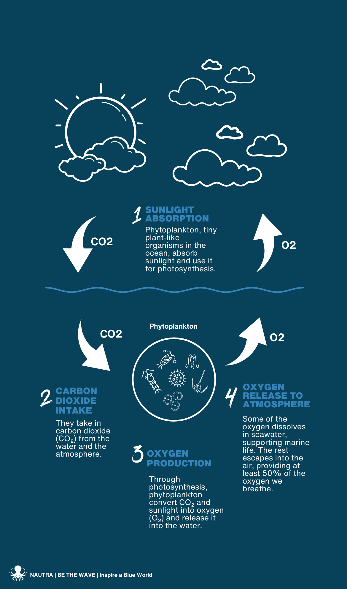Oxygen_Production_infographic_