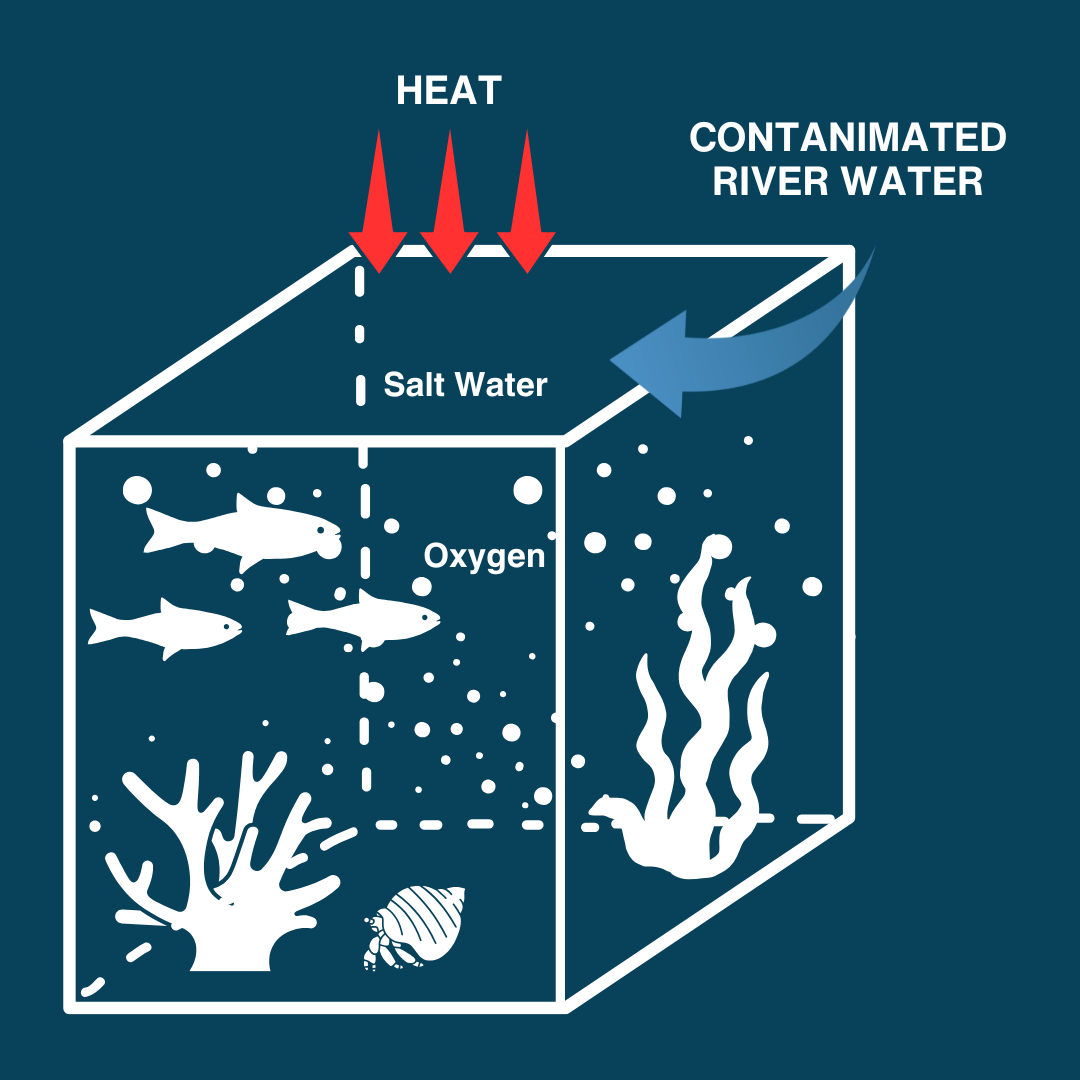 How dead zones form_step 1