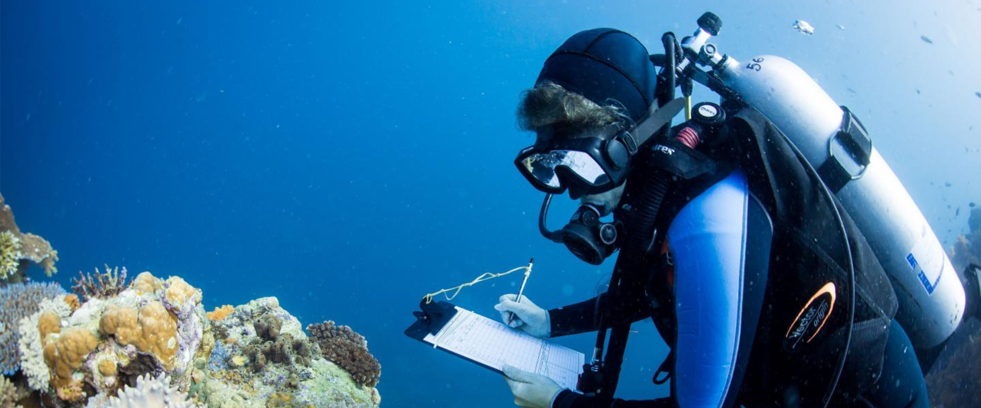Marine scientist coral reef