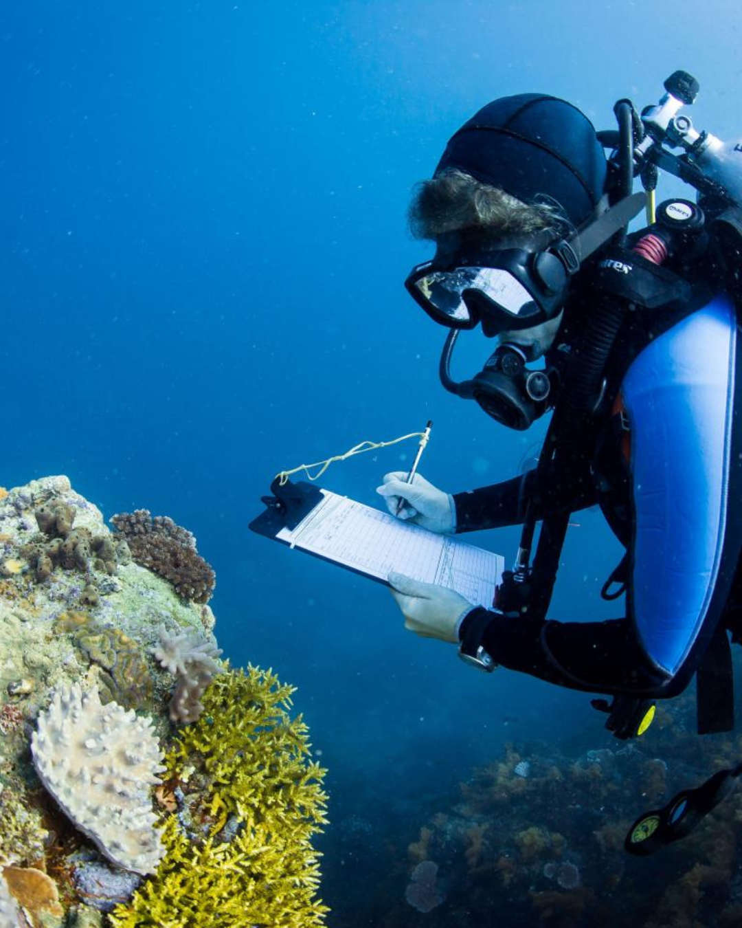 marine_scientist