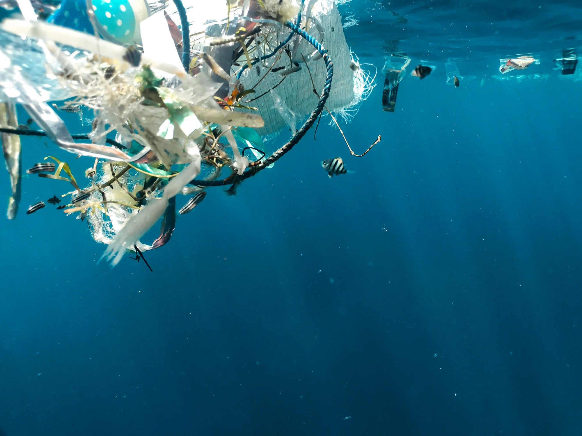 Plastic pollution ocean