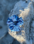 Whale Shark scrunchie on a textured rock surface