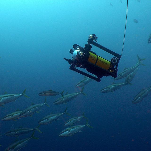 Camera mounted on ROVs