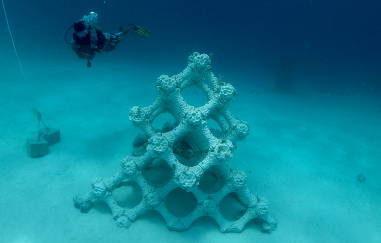 3D-printed_reef_structures_to_provide_ideal_surfaces_for_coral_growth