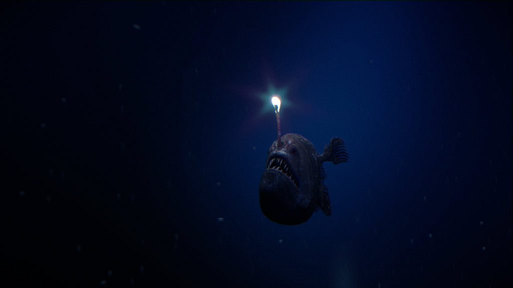 Anglerfish | The Lure of Darkness – NAUTRA