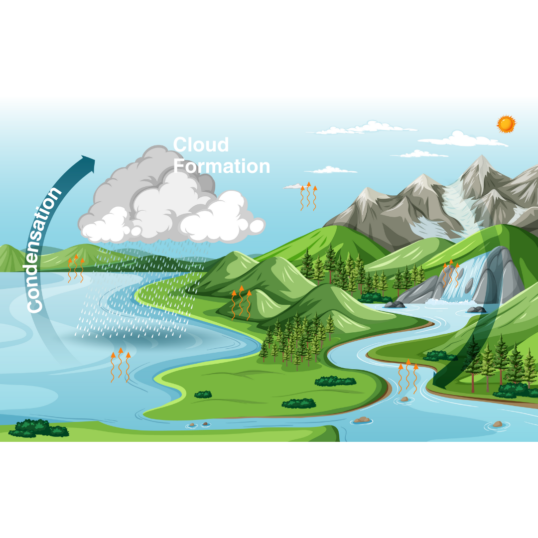 Condensation and Cloud Formation