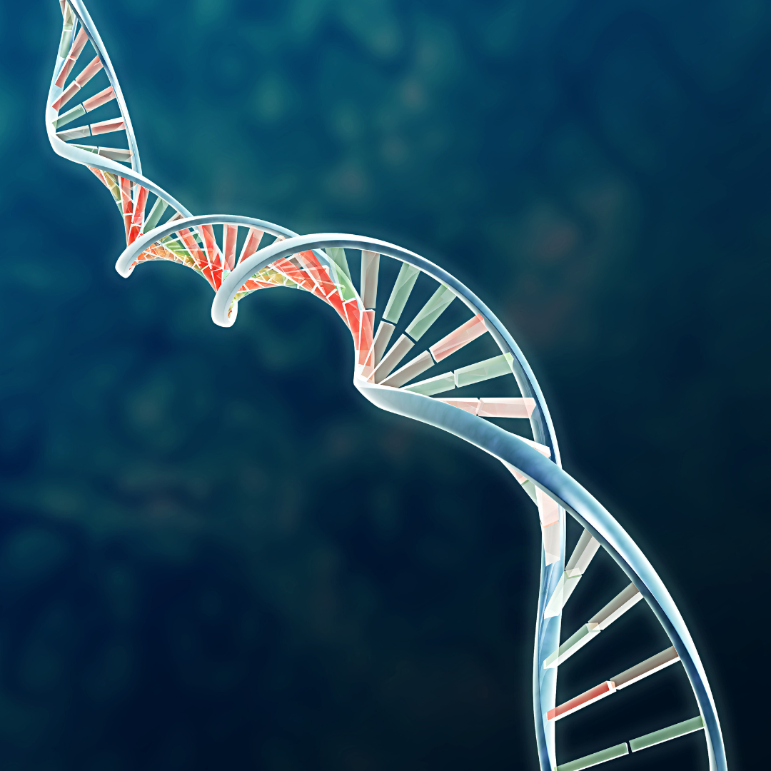 Environmental DNA (eDNA) sampling