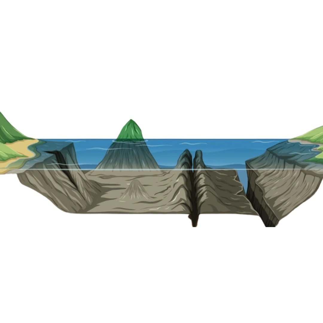 Deep Sea Trenches