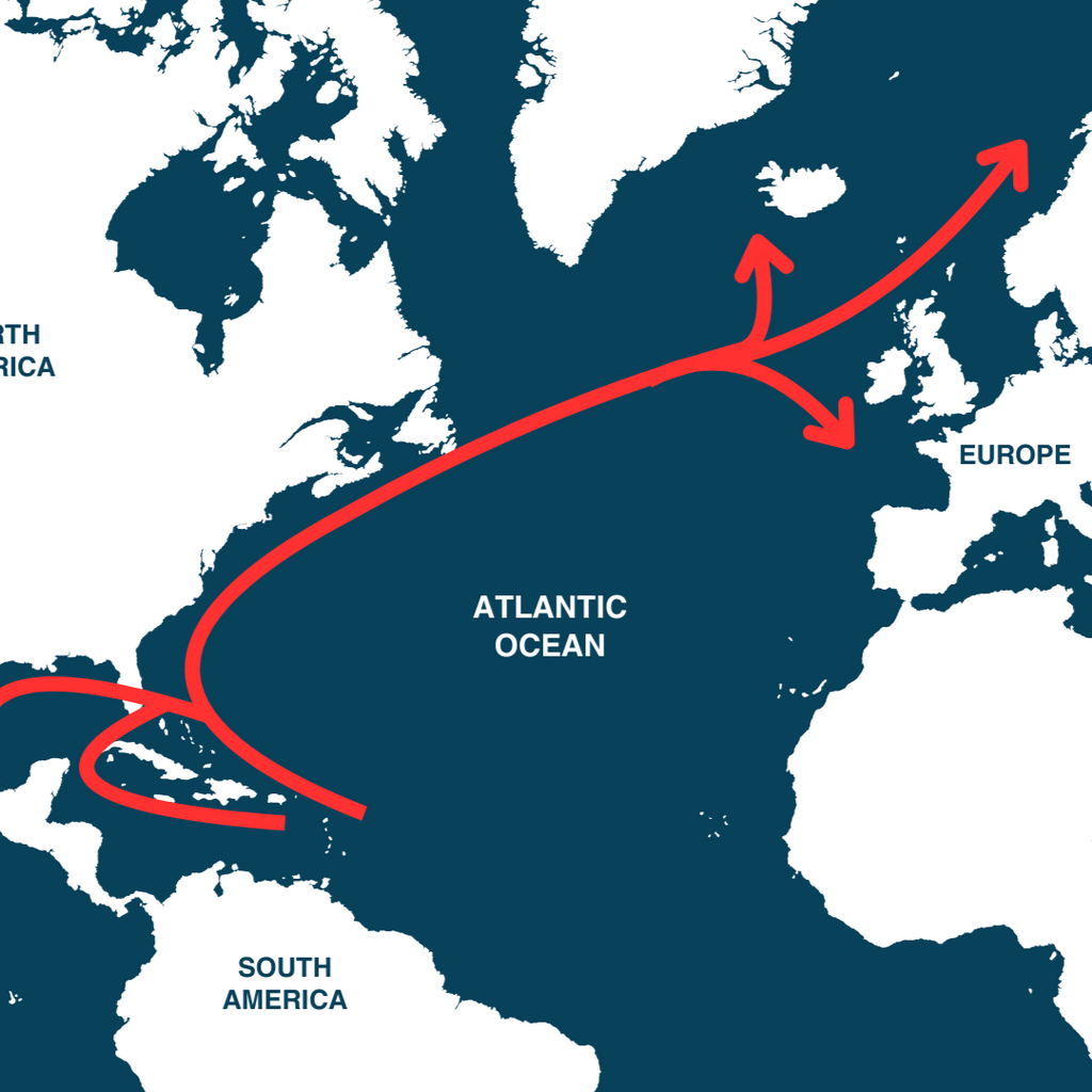 Lesson 2: The Gulf Stream and Global Currents: Why They Matter – NAUTRA