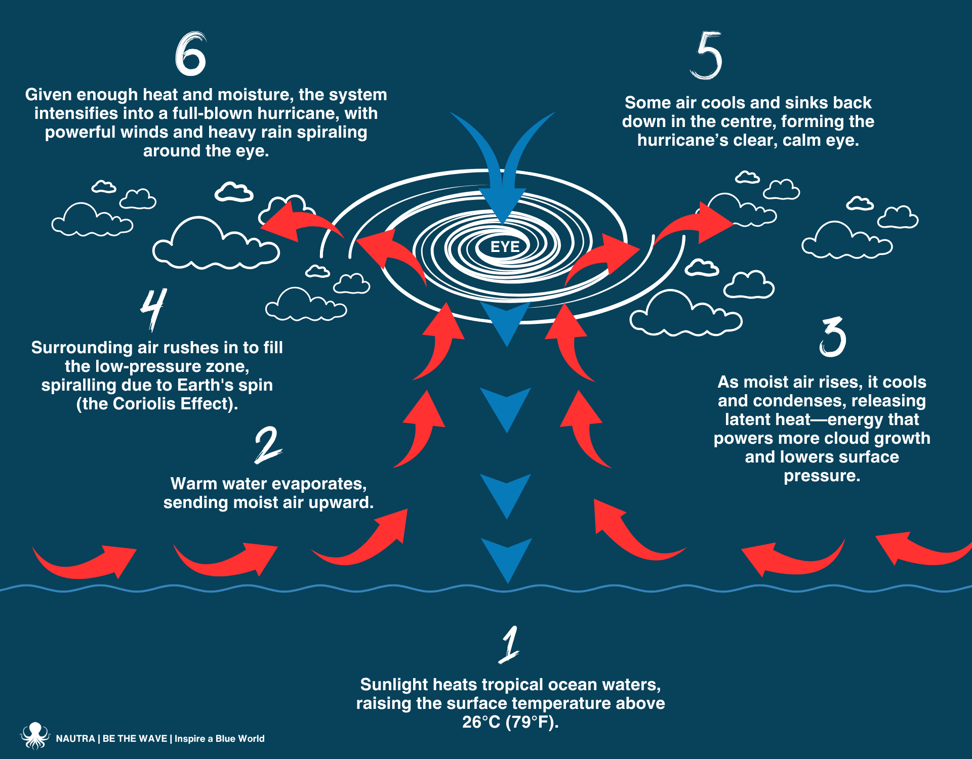 Hurricane_formation_infographic