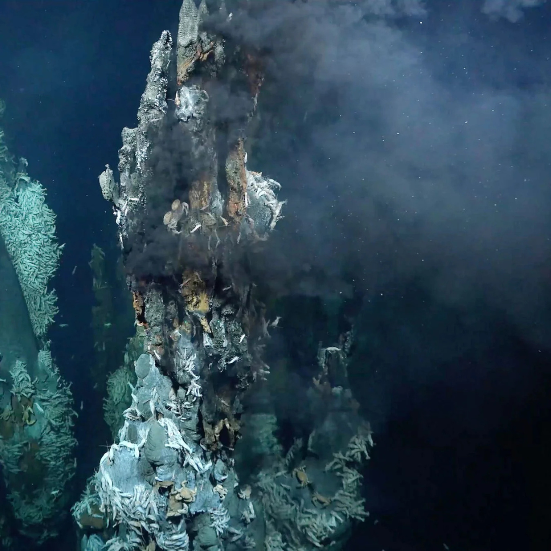 Hydrothermal vents