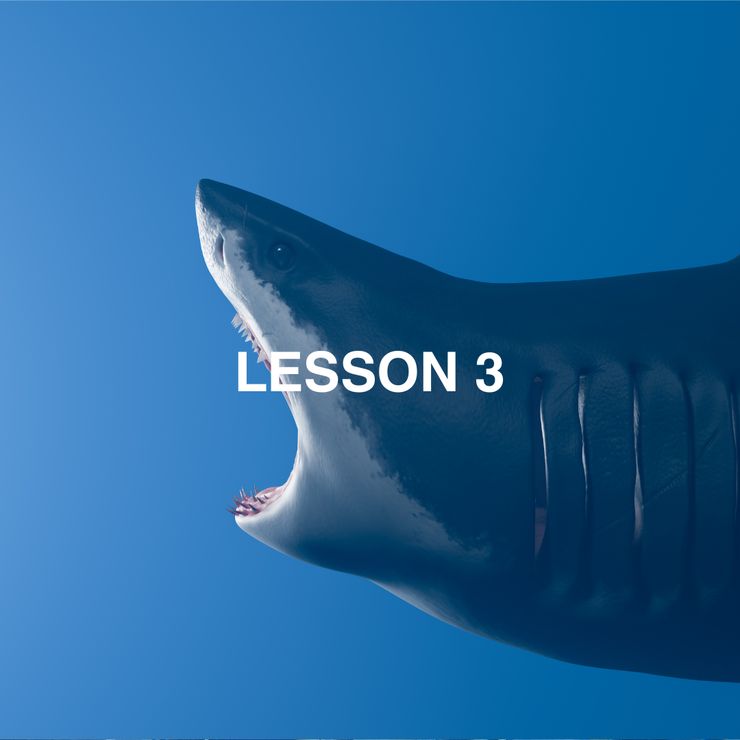 Great white shark with mouth open