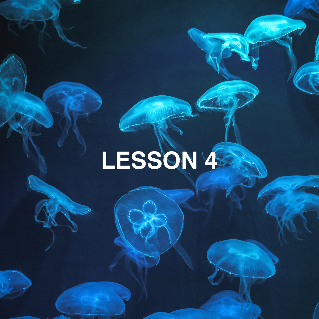 Bioluminescence blue jellyfish_lesson 4