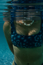 Close-up of Whale Shark bikini top with blue and white dotted marine animal print, eco-friendly scoop neck sports bra swimwear, sustainable active swimwear UK.
