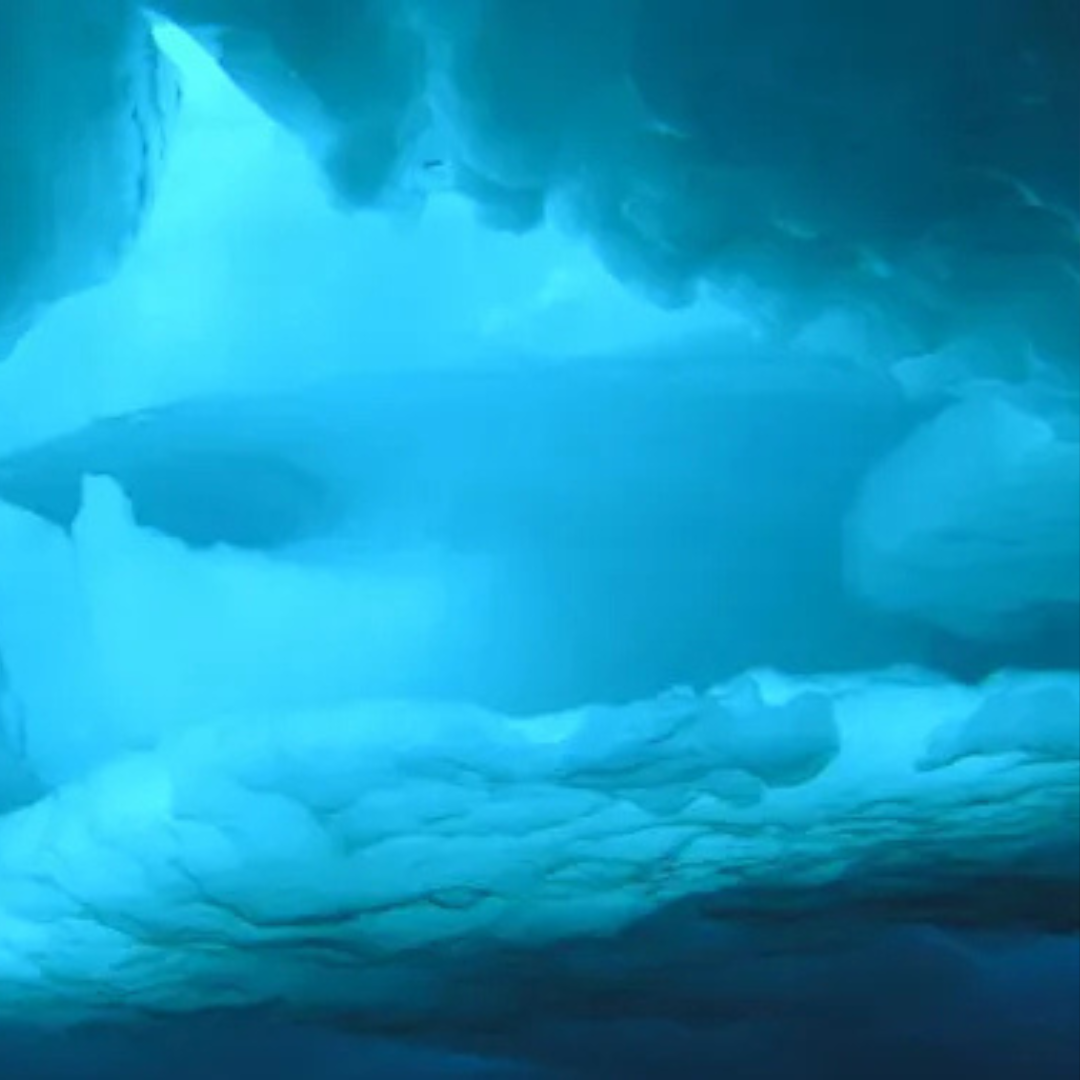 polar icy oceans
