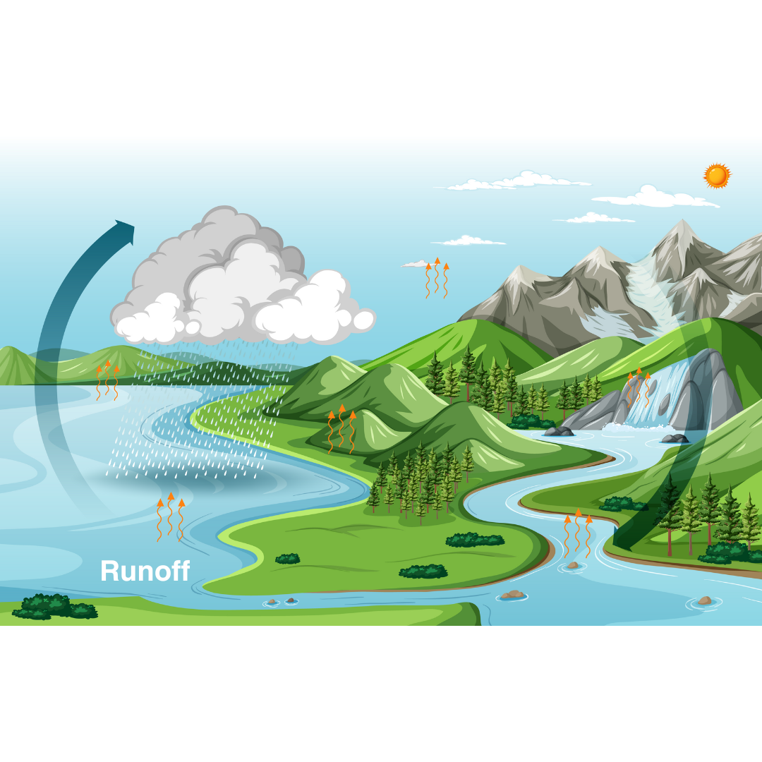 Runoff  and Infiltration