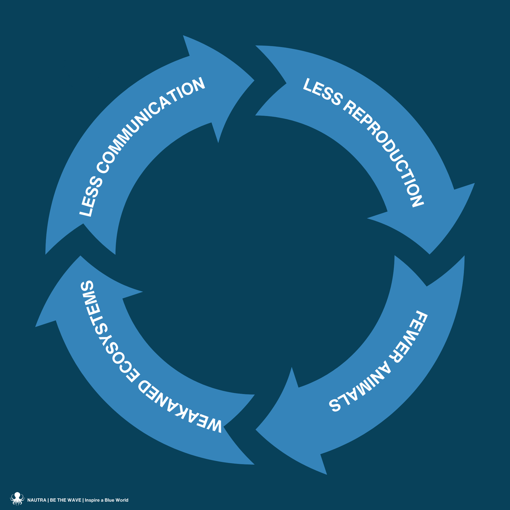 Sound pollution consequences