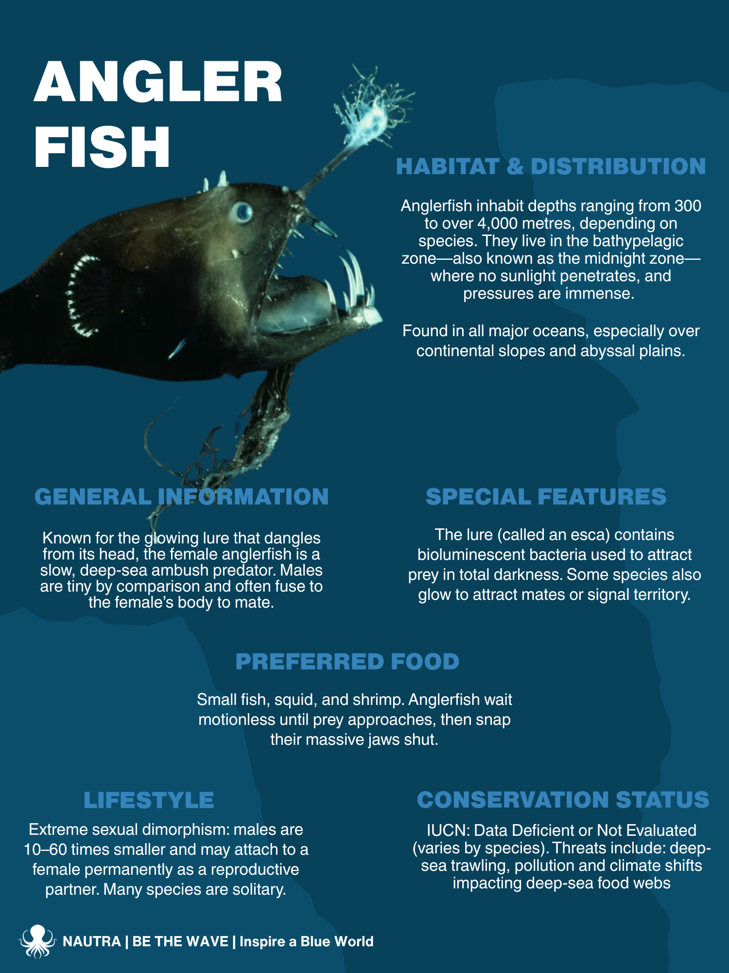 Angler Fish Habitat Reduced Evolutionary Constraint Accompanies Angler Fish Habitat Reduced Evolutionary Constraint Accompanies