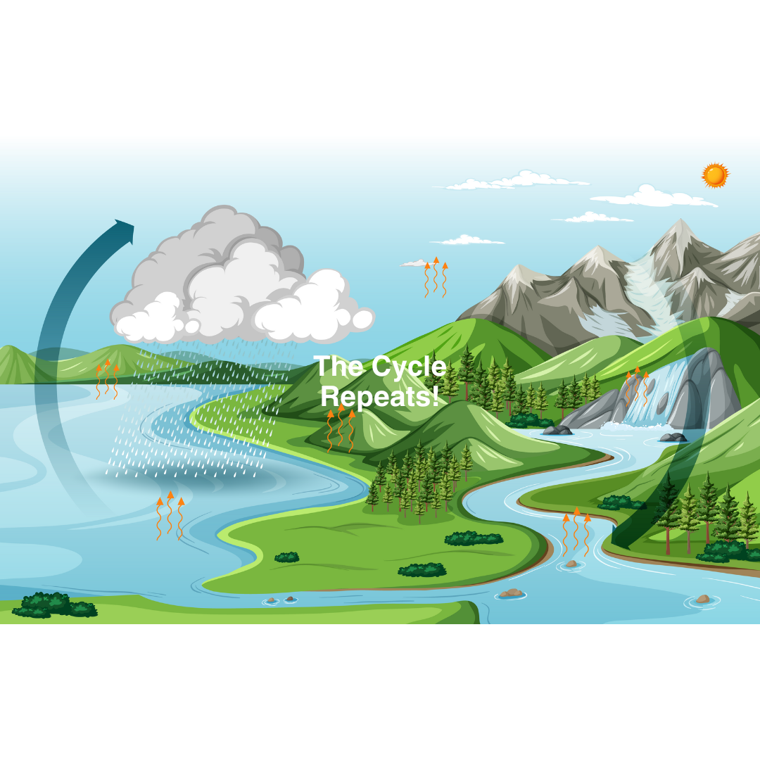 Water Cycle