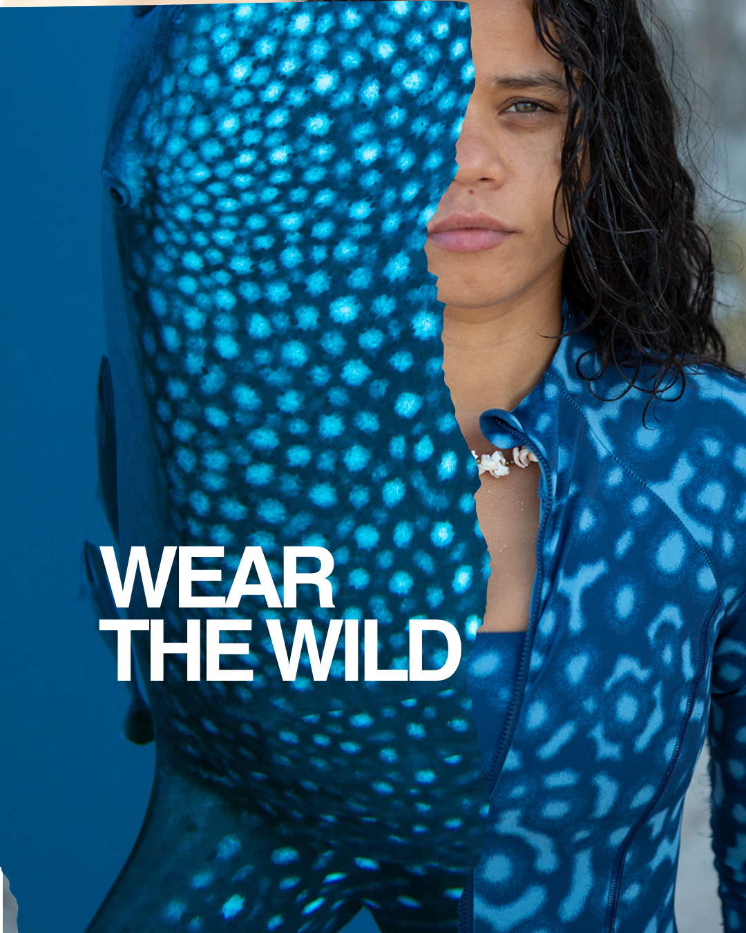 Model wearing the whaleshark print swimsuit from NAUTRA next to a close up of a whale shark with WEAR THE WILD Text over the photo.