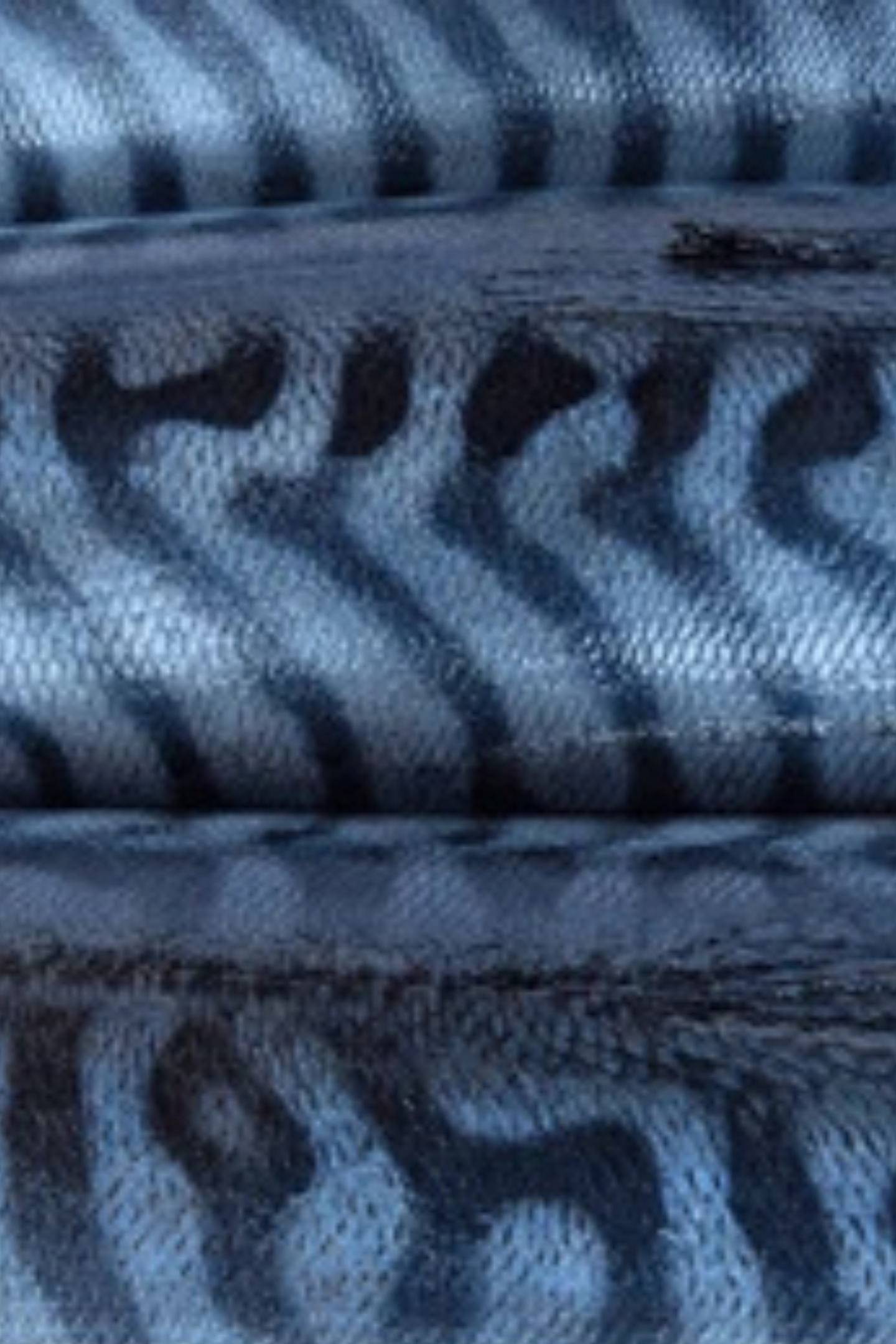 wahoo close up print