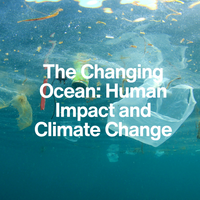 Underwater scene with plastic pollution and text overlay about ocean change and human impact.