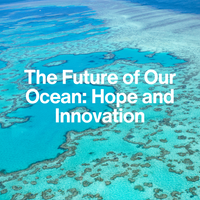 Coral reef aerial view.