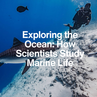 Scuba diver and shark underwater with text overlay about studying marine life