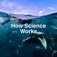 Underwater scene with manta rays and a person, overlaid with 'How Science Works' text.