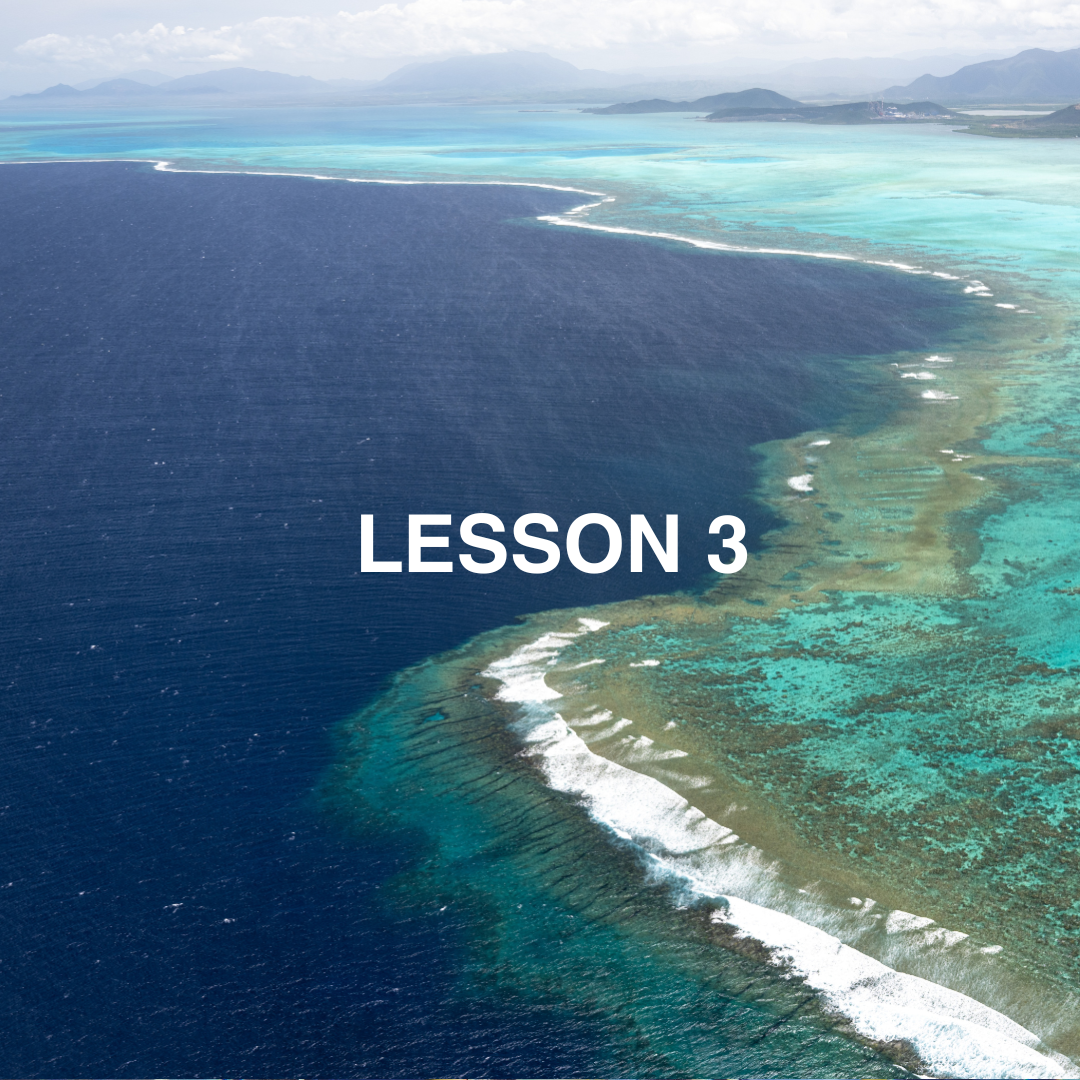 Turquoise coast viewed from above.