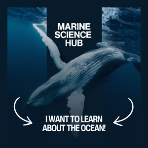 Whale underwater with 'Marine Science Hub' text and 'I want to learn about the ocean!' message.