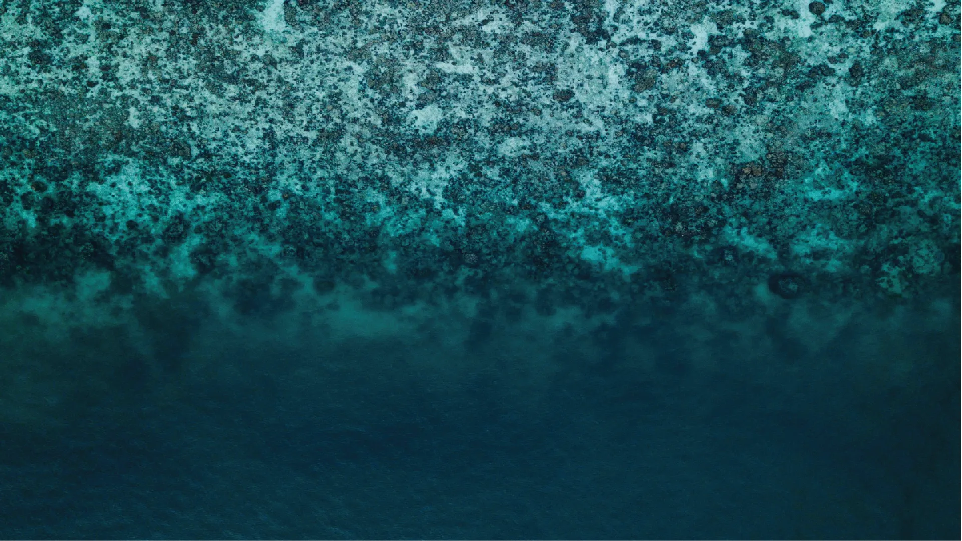 Gradient of teal and blue with a textured coral reef.