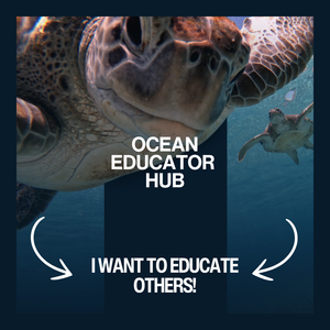 Turtle underwater with 'Ocean Educator Hub' text and call to action.