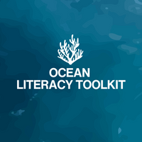 White coral on a blue underwater background  NAUTRA - BE THE WAVE Platform - Ocean Literacy Toolkit