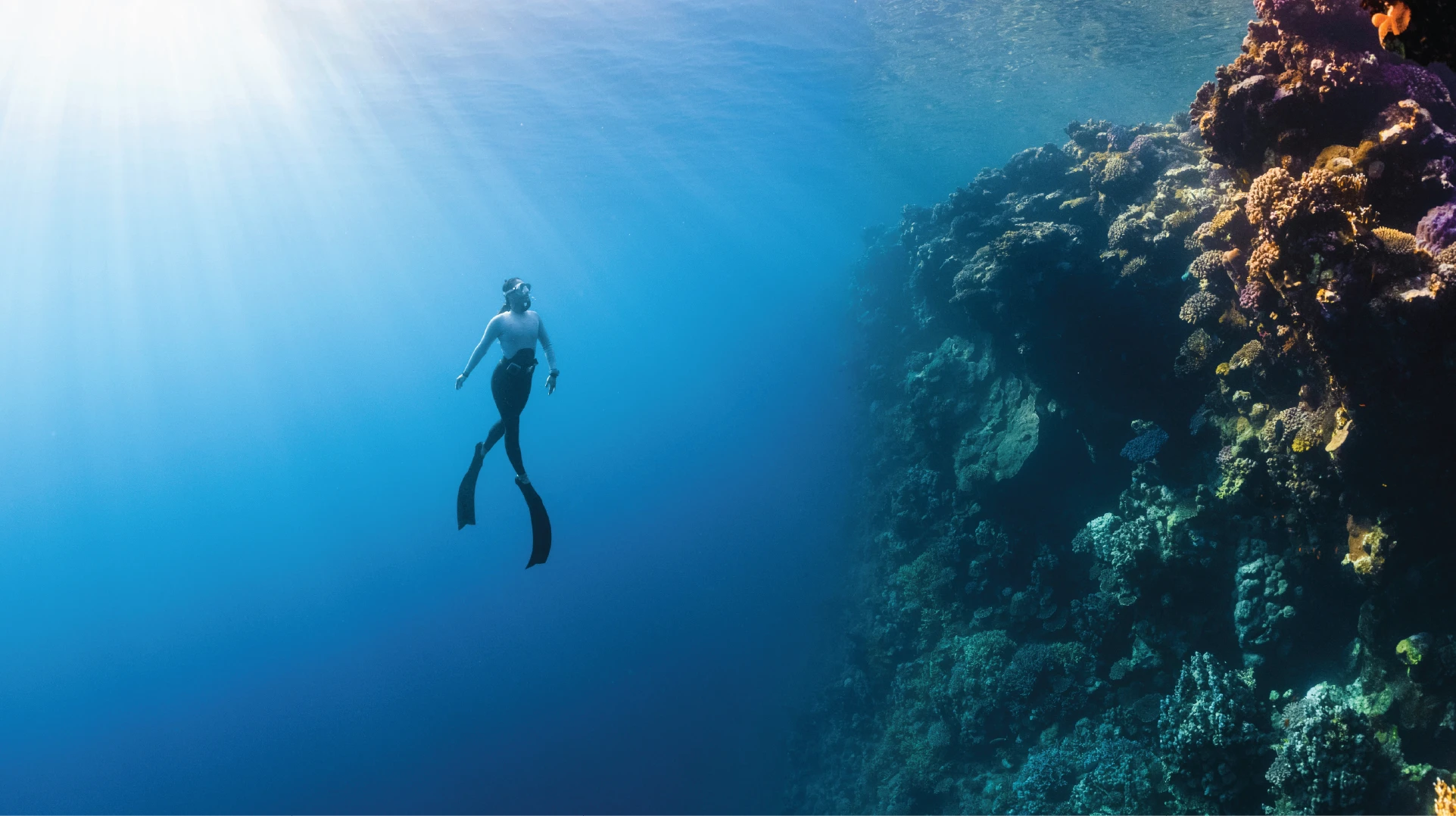 Woman diving in open water with a coral reef in the background.