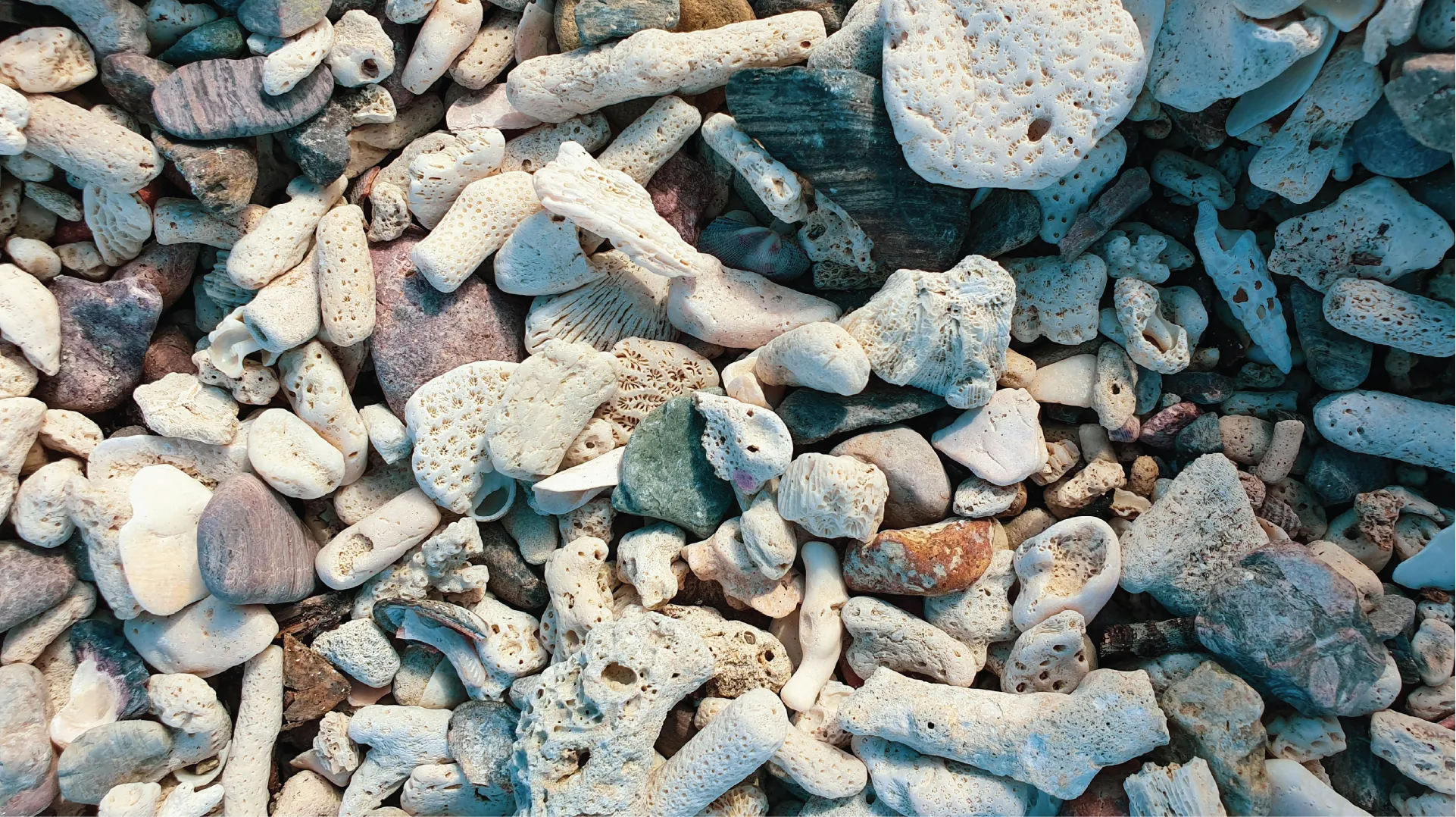 Close-up of a pile of multicolored pebbles and stones