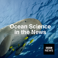 Manatee with yellow fish in the ocean, text 'Ocean Science in the News' and BBC News logo.