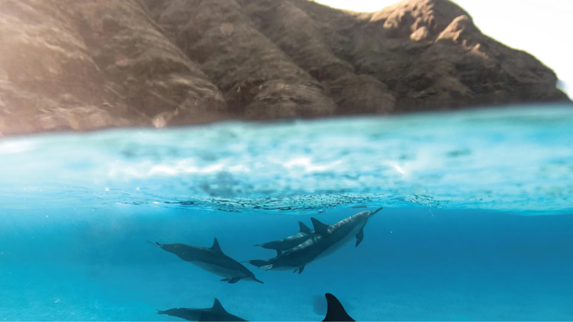 Two dolphins swimming underwater with a mountainous landscape above water.