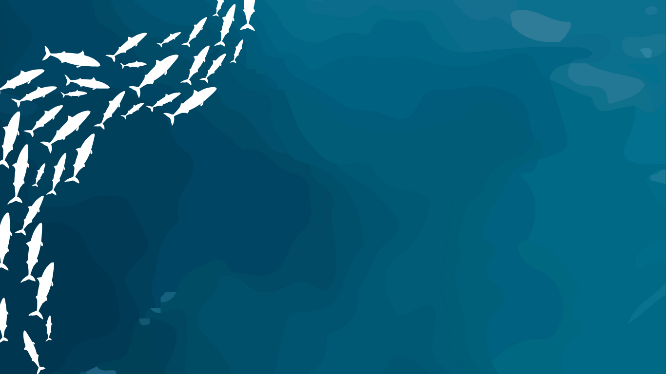 School of white fish swimming in a U-shaped formation against a blue gradient background - NAUTRA - BE THE WAVE - Start with the Basics.