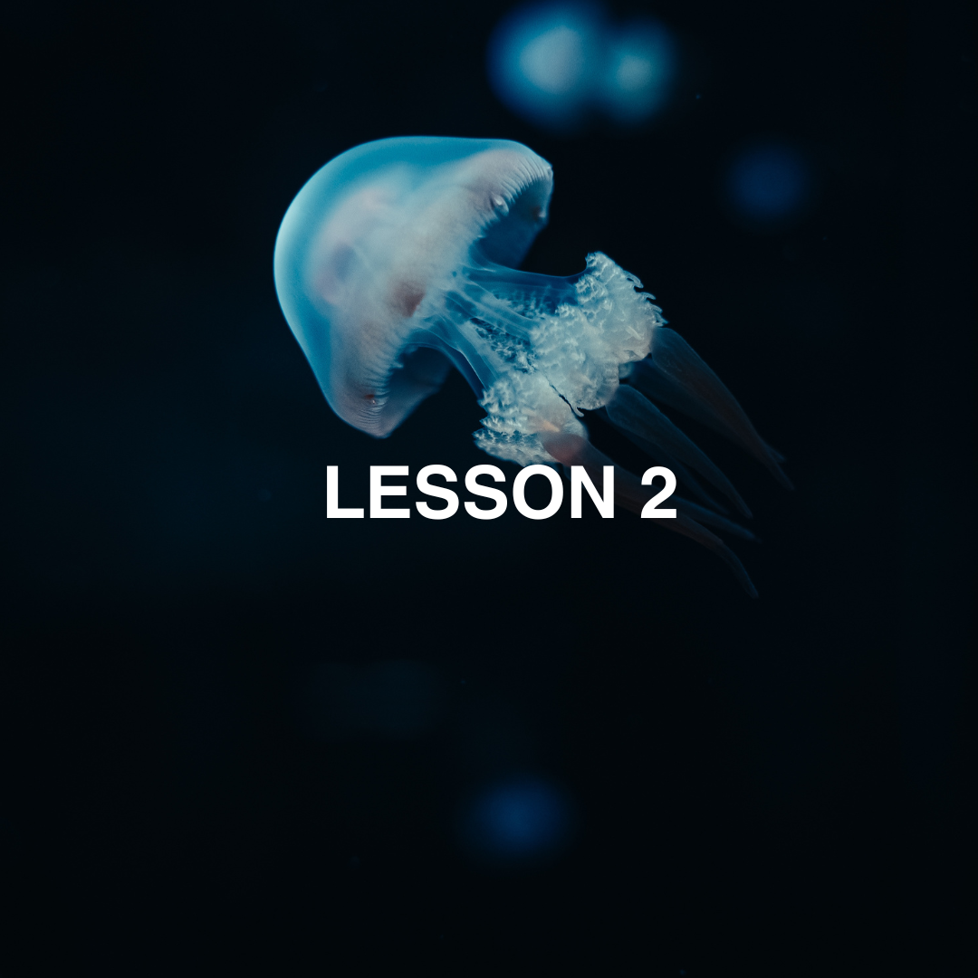 Bioluminescence jelly fish in black water.