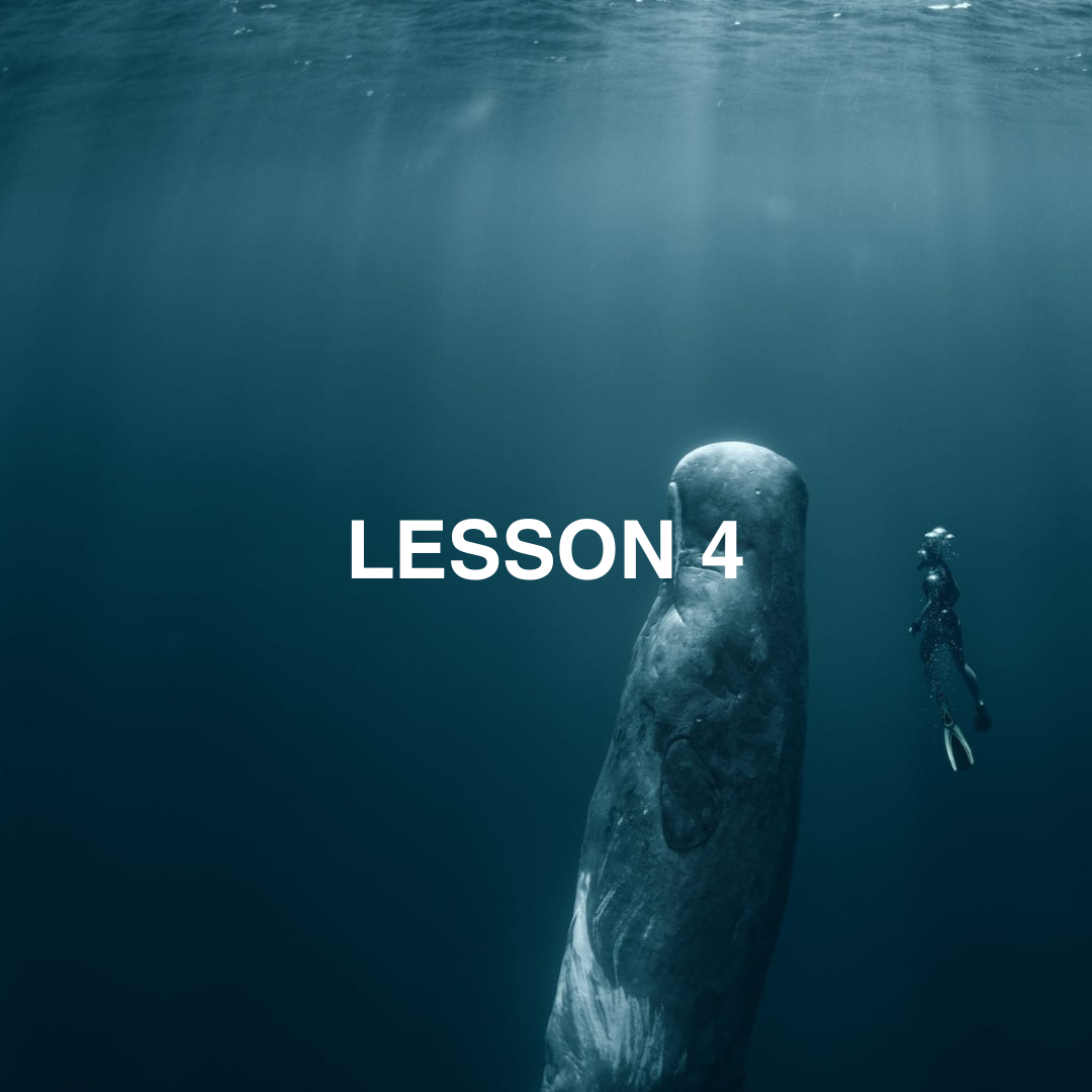 Diver looking up at a whale in the ocean with 'LESSON 4' text.