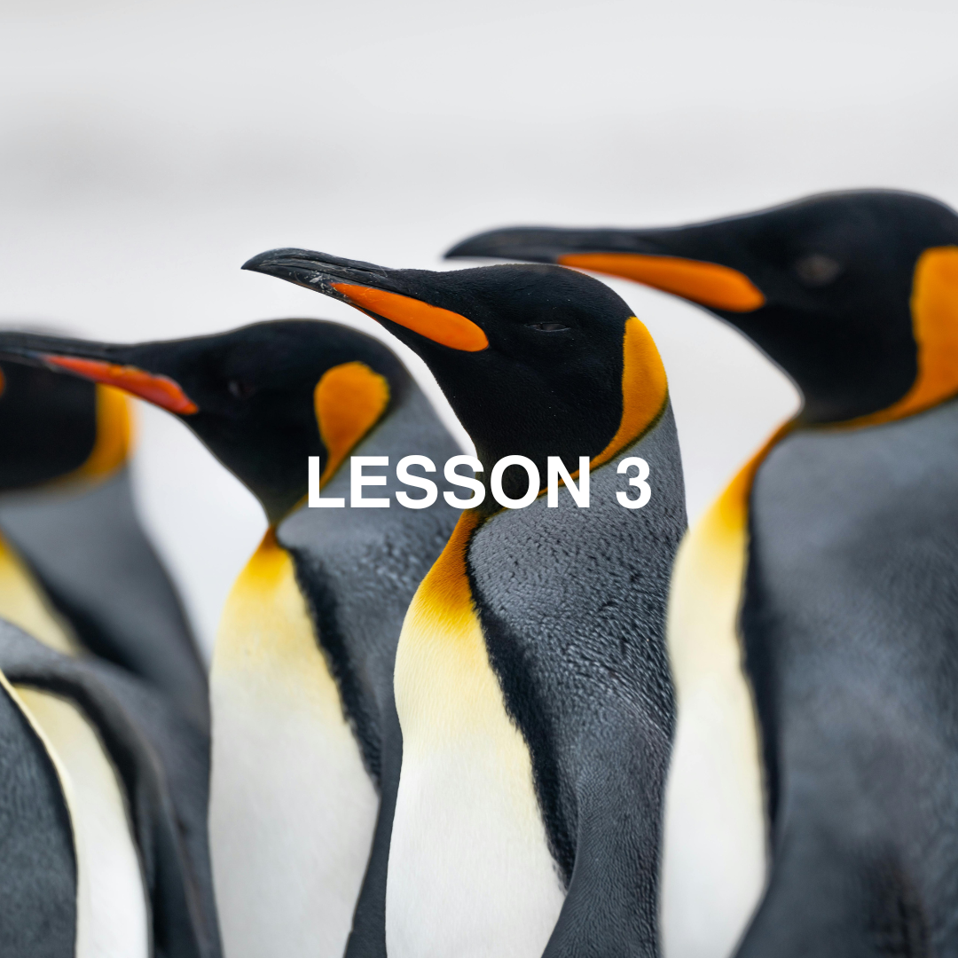 Emperor penguins