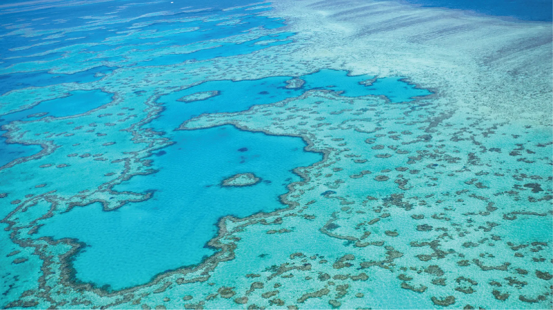 Aerial view of the Great Barrier Reef with its distinctive blue and green colors.