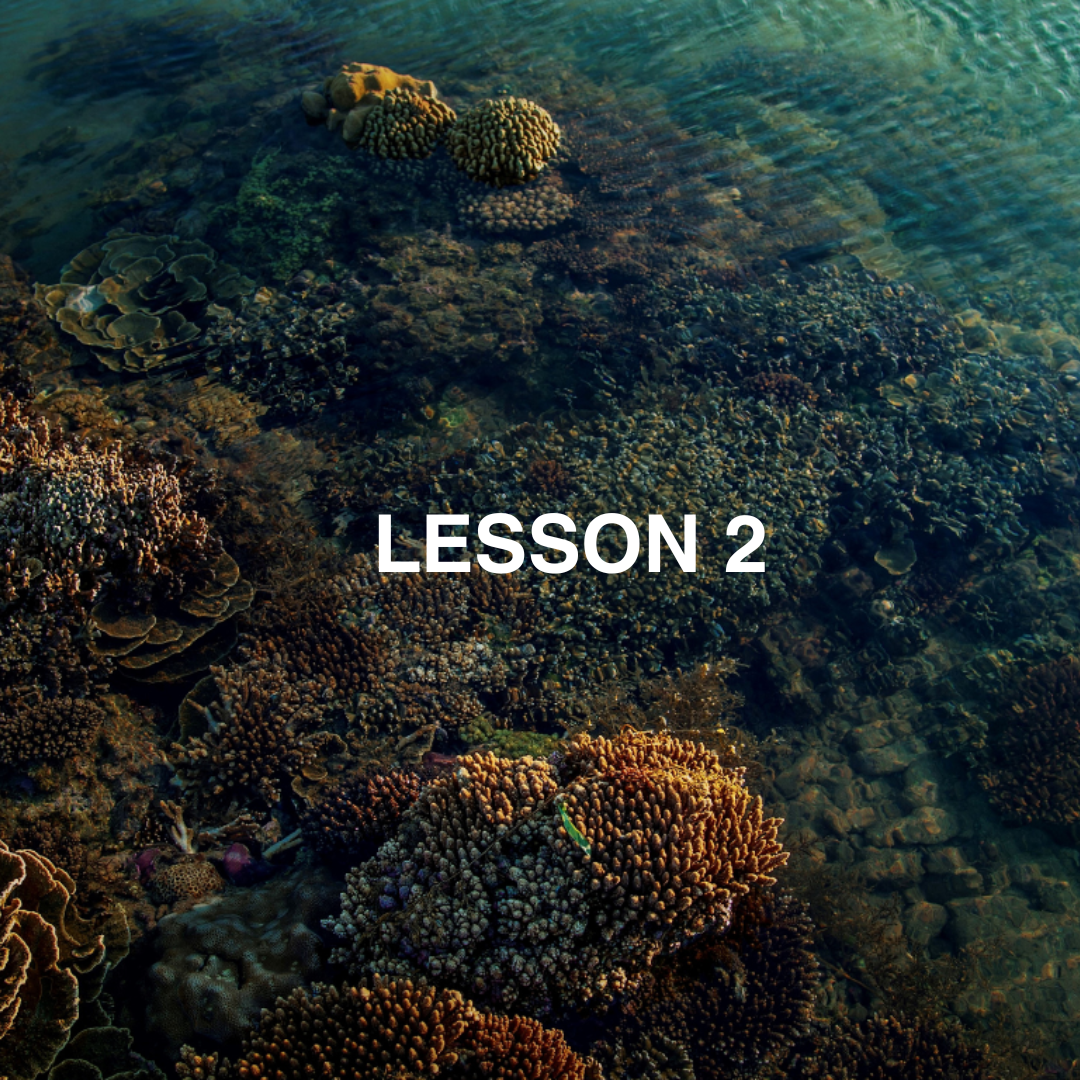 Coral reef with the text 'LESSON 2' overlayed.