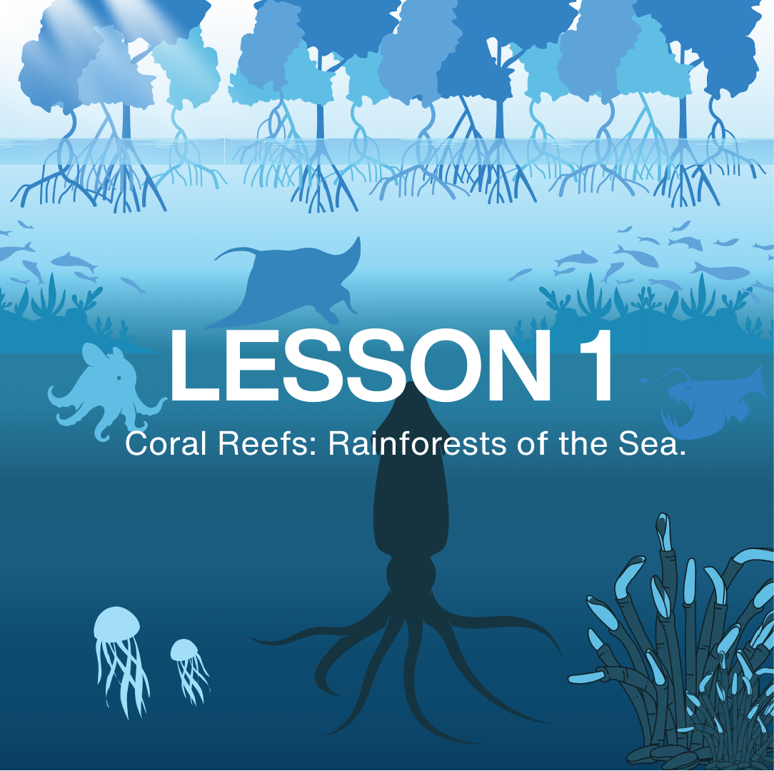 Underwater scene with marine life and text 'LESSON 1 Coral Reefs - Rainforests of the Sea' on a blue background from MAUTRA BE THE WAVE Educational Platform.