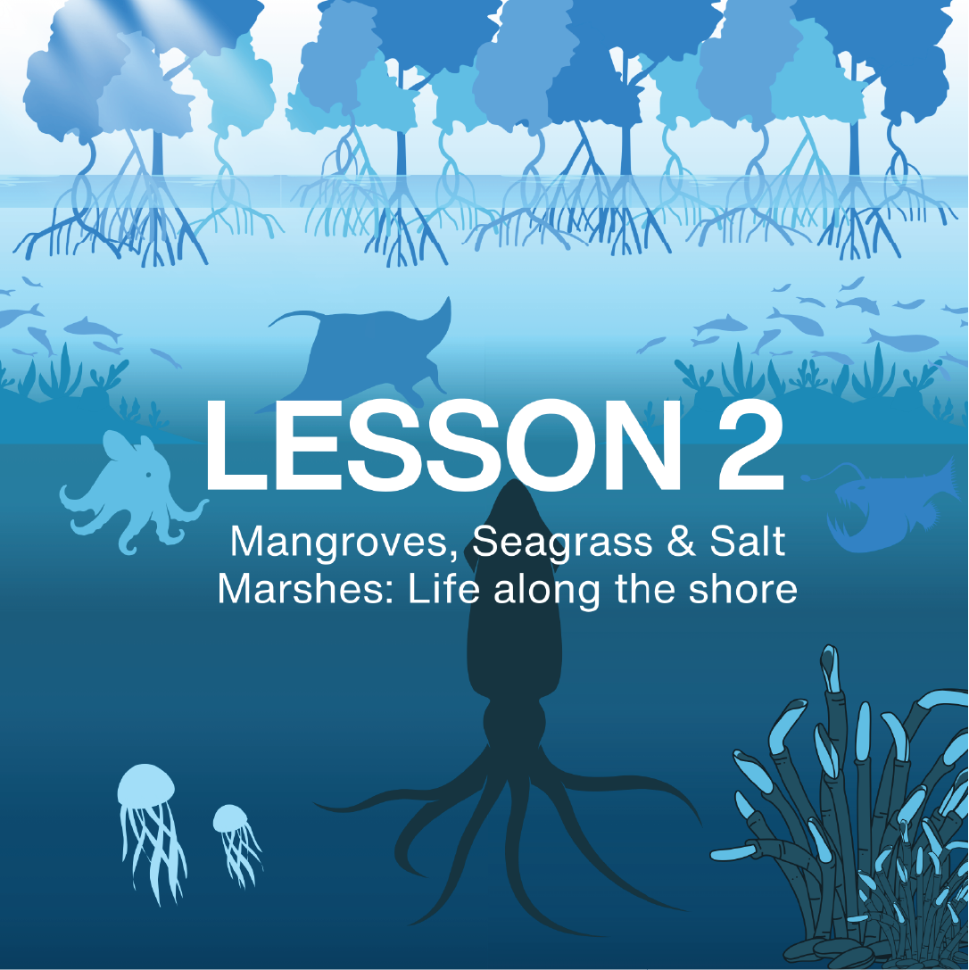 Educational graphic about mangroves, seagrass, and salt marshes with text 'LESSON 2' and illustrations of marine life from NAUTRA's BE THE WAVE Educational Platform.